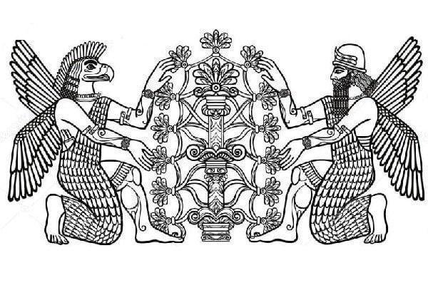 Griffon Nedir