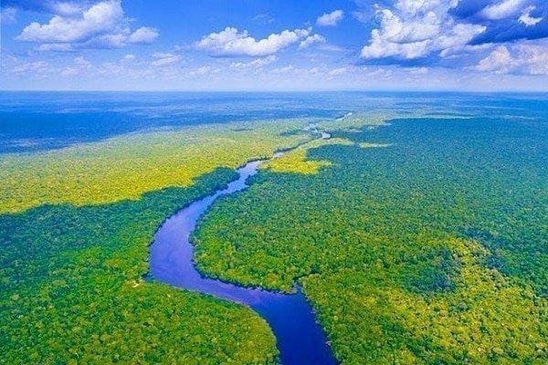 Amazon Nehri ve Amazon Yagmur Ormanlari