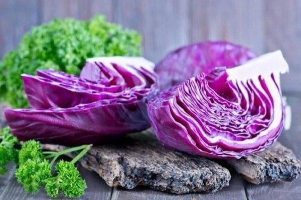 Kırmızı (Mor) Lahana
