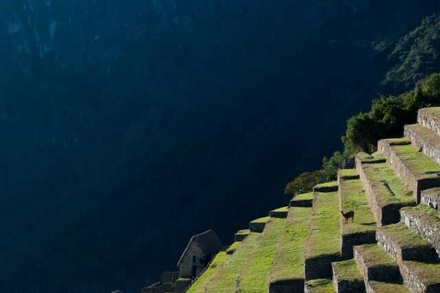 Machu Pichu